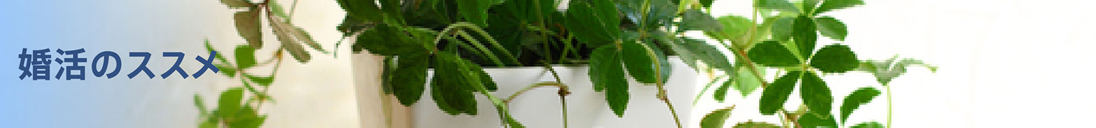 婚活のススメ